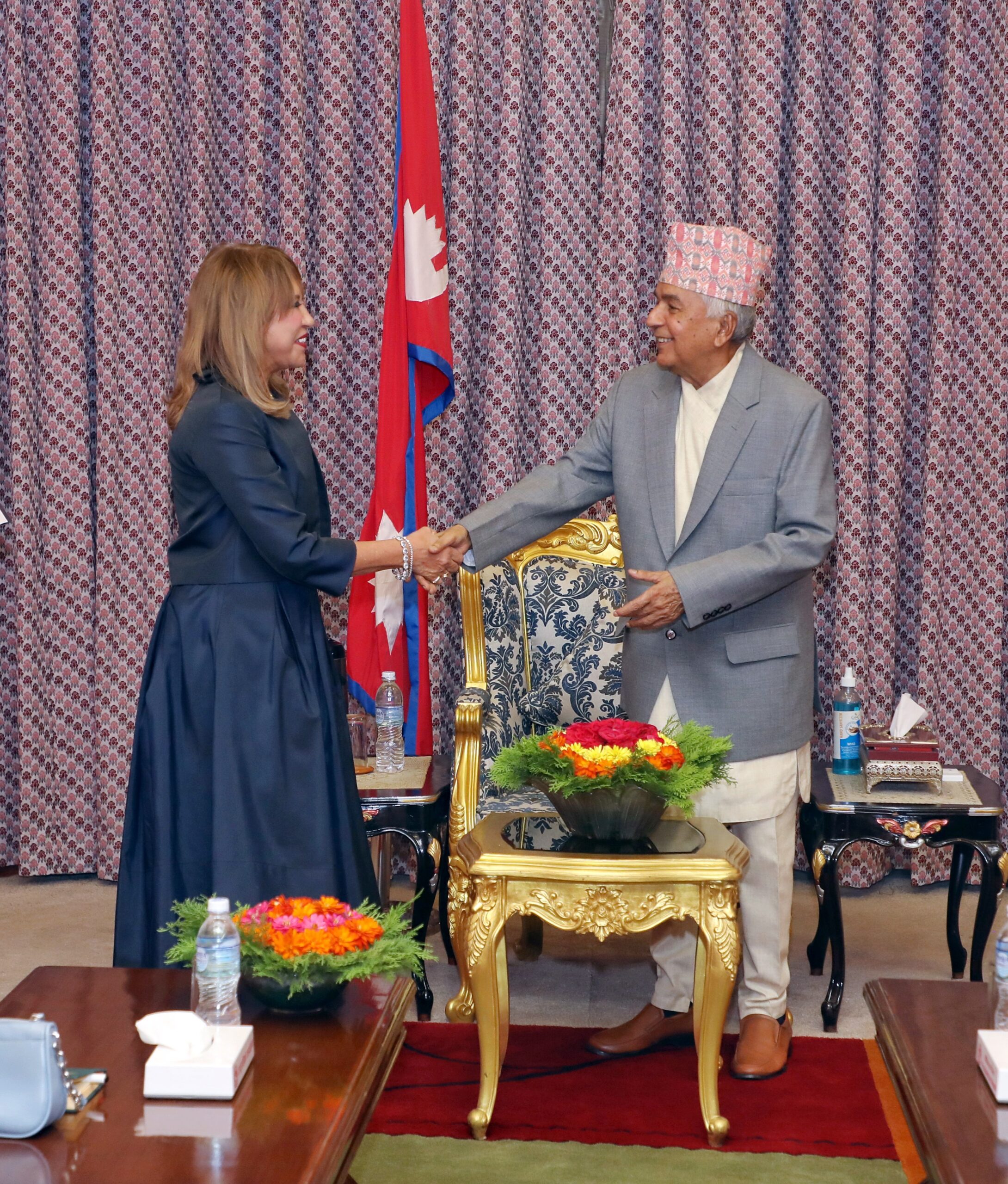 UN Resident Coordinator Hanaa Singer-Hamdy meets President Ram Chandra Paudel