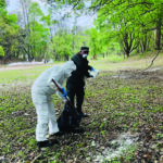 बर्डफ्लू पुष्टिपछि त्रिवि जंगलबाट ६१ मृत काग ब्यवस्थापन