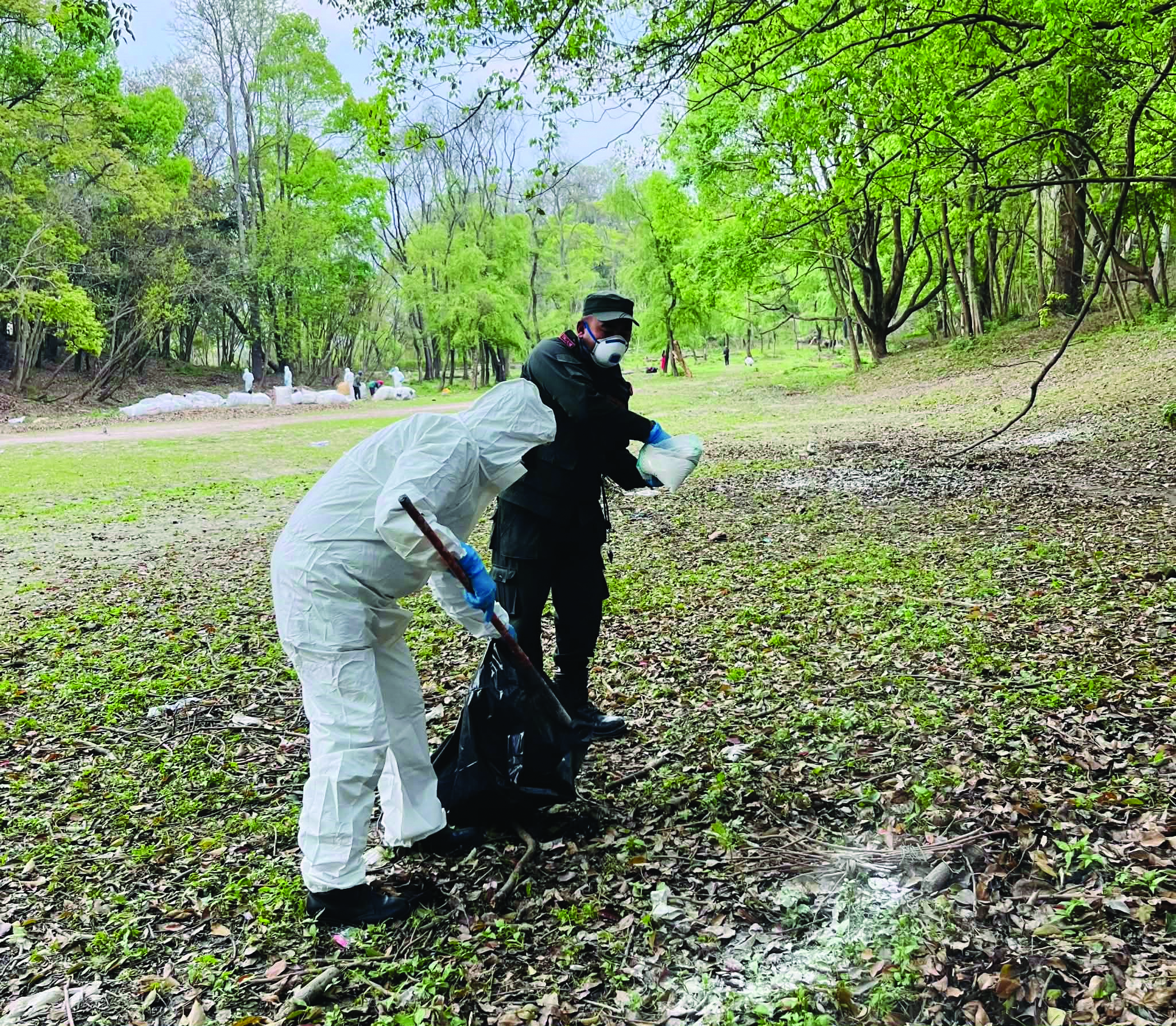 बर्डफ्लू पुष्टिपछि त्रिवि जंगलबाट ६१ मृत काग ब्यवस्थापन