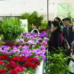 २७ औँ फ्लोरा एक्स्पो: एक करोड २२ लाख रुपैयाँ बढीको कारोबार