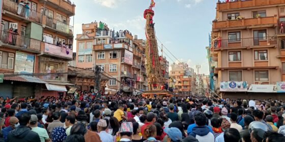 असार ३ गते रातो मच्छिन्द्रनाथको जावलाखेल रथयात्रा तय