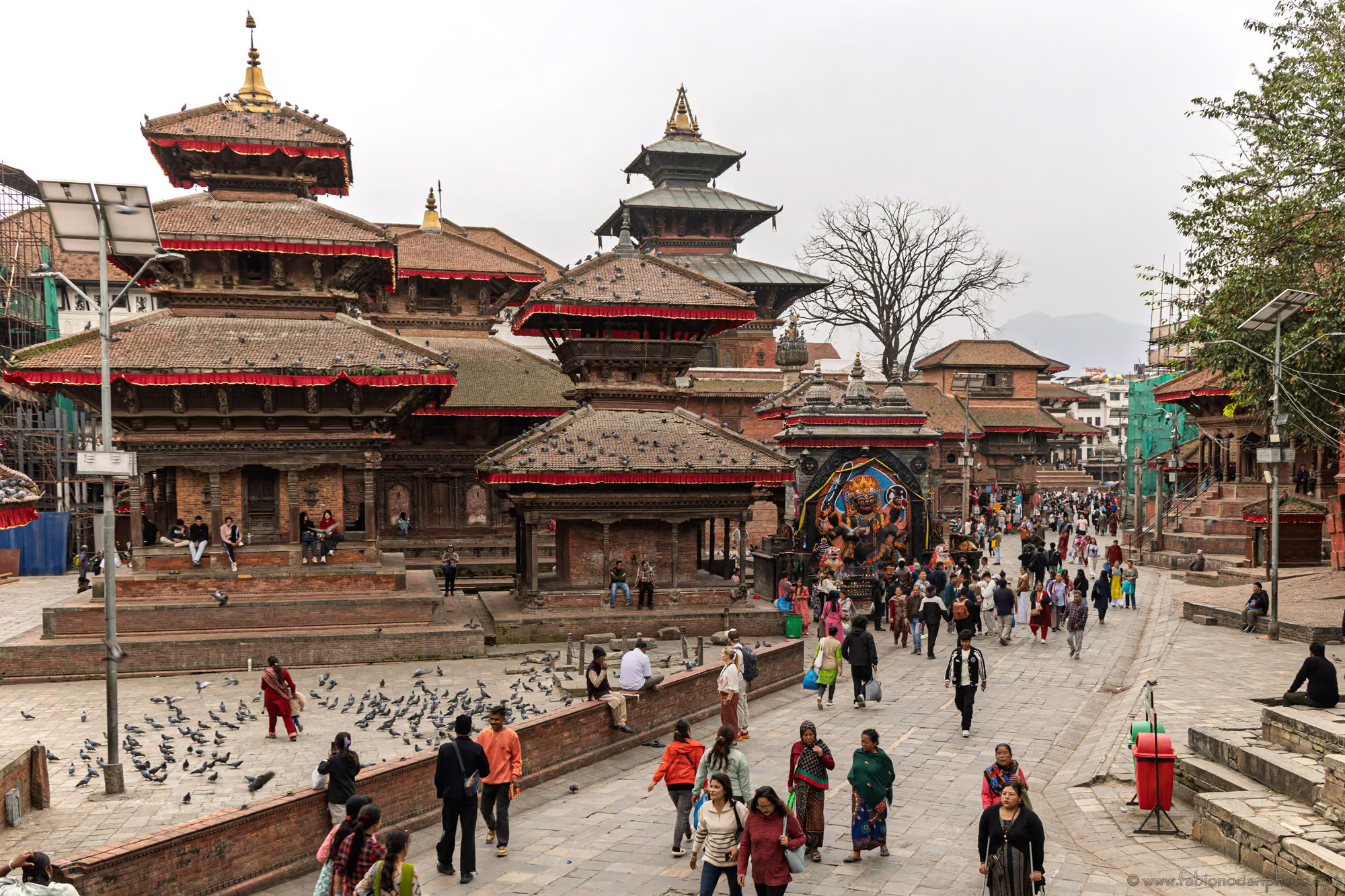काठमाडौं ‘सडकआश्रित मानवमुक्त शहर’ घोषणा