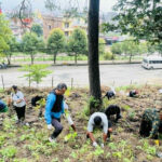 कीर्तिपुर २ वडाको वन क्षेत्रमा बृक्षरोपण कार्यक्रम