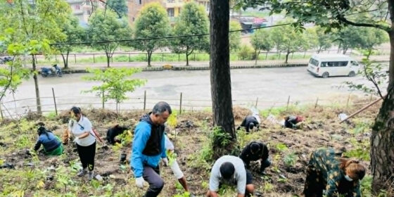 कीर्तिपुर २ वडाको वन क्षेत्रमा बृक्षरोपण कार्यक्रम