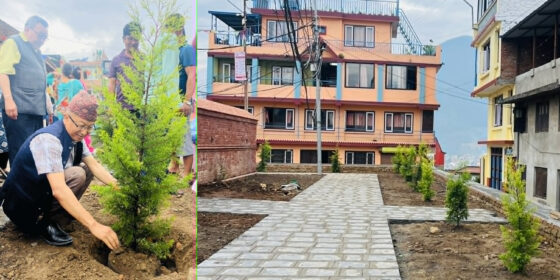 कीर्तिपुरको चिलंचो विहारमा बृक्षरोपण, हरियाली प्रबर्ध्दन अभियान जारी