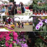ललितपुरमा १९औँ गोदावरी फूलको महामेला सुरु, पाँच दिनसम्म फूलको प्रदर्शनी र बिक्री