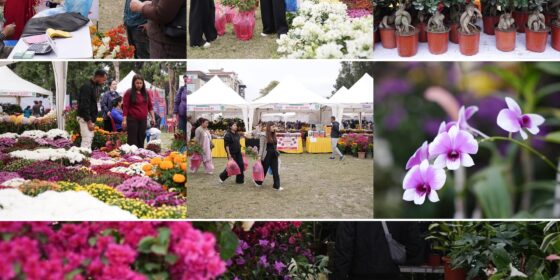 ललितपुरमा १९औँ गोदावरी फूलको महामेला सुरु, पाँच दिनसम्म फूलको प्रदर्शनी र बिक्री